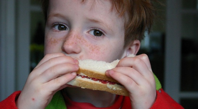 10 mandamentos da alimentação infantil