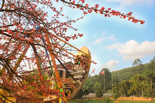 Atração do Parque de Diversões no Magic City